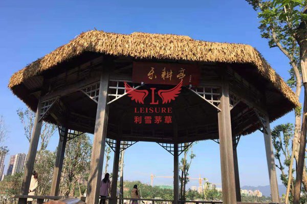 北京茅草亭项目